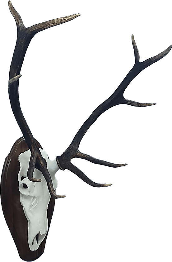 Deer Antlers Art