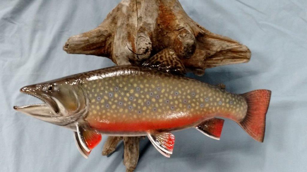 Nice designs on the body of this fish taxidermy
