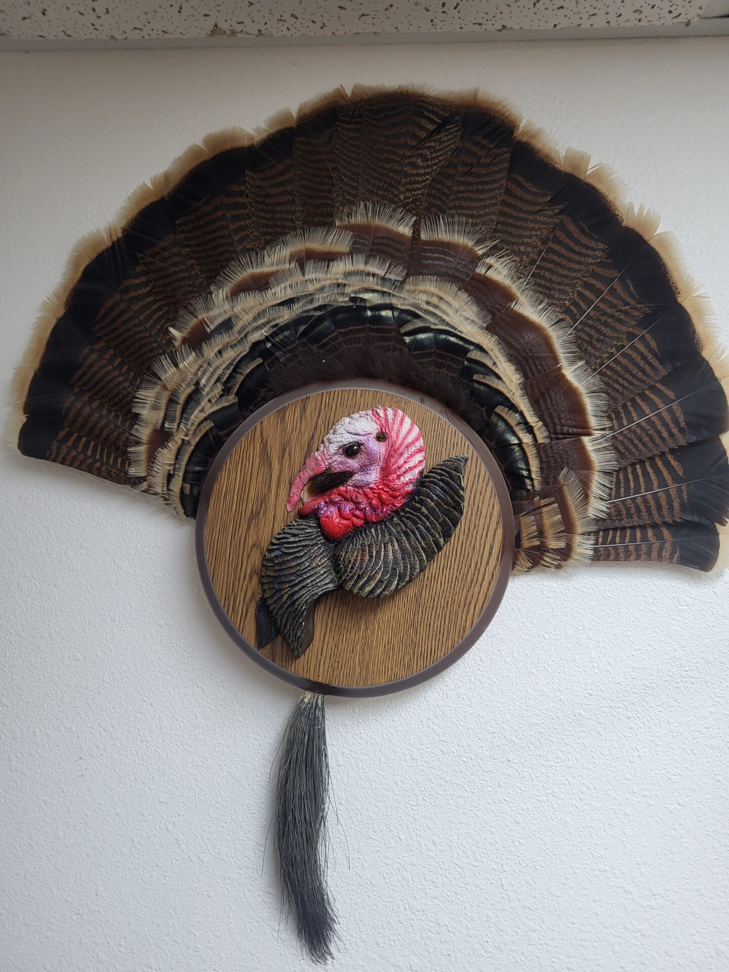 A beautifully created turkey taxidermy available for sale