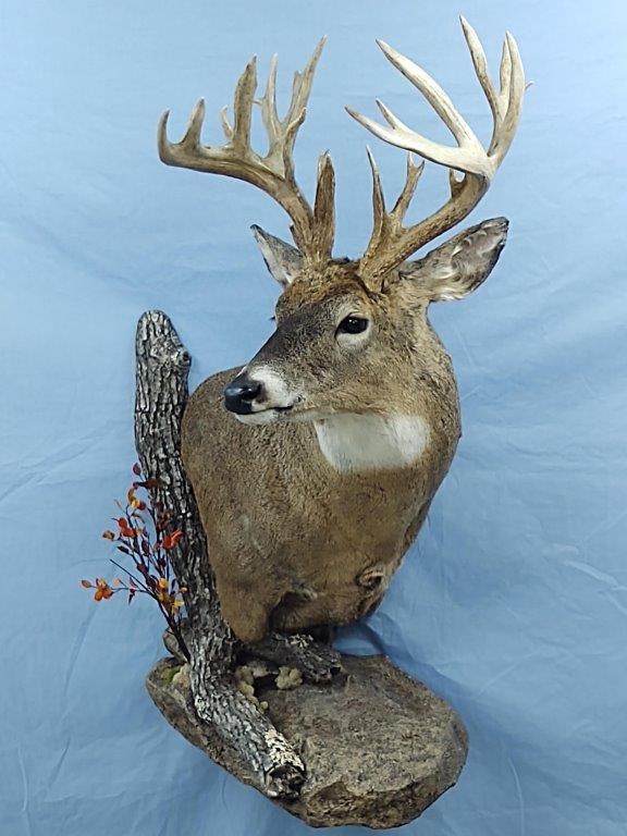 The deer taxidermy are very carefully crafted